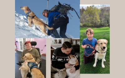 How a Service Dog Can Change a Life