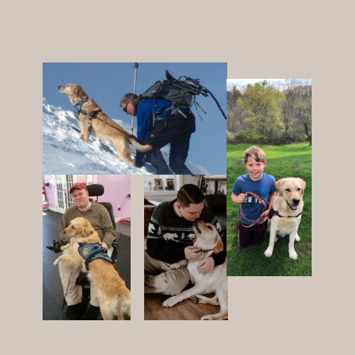 How a Service Dog Can Change a Life