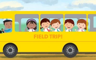 Field Trips & Extracurricular Activities Are Crucial in Accessibility Discussions